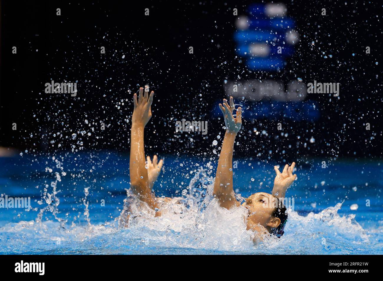 Fukuoka, Japan. 14. Juli 2023: Liuyi Wang und Qianyi Want of China treten am ersten Tag während der Wasserweltmeisterschaft 2023 in Fukuoka an der Marine Messe Fukuoka Halle B in Fukuoka, Japan, im Women Duet Technical gegeneinander an. 14. Juli 2023. (Foto: Nikola Krstic/Alamy) Stockfoto