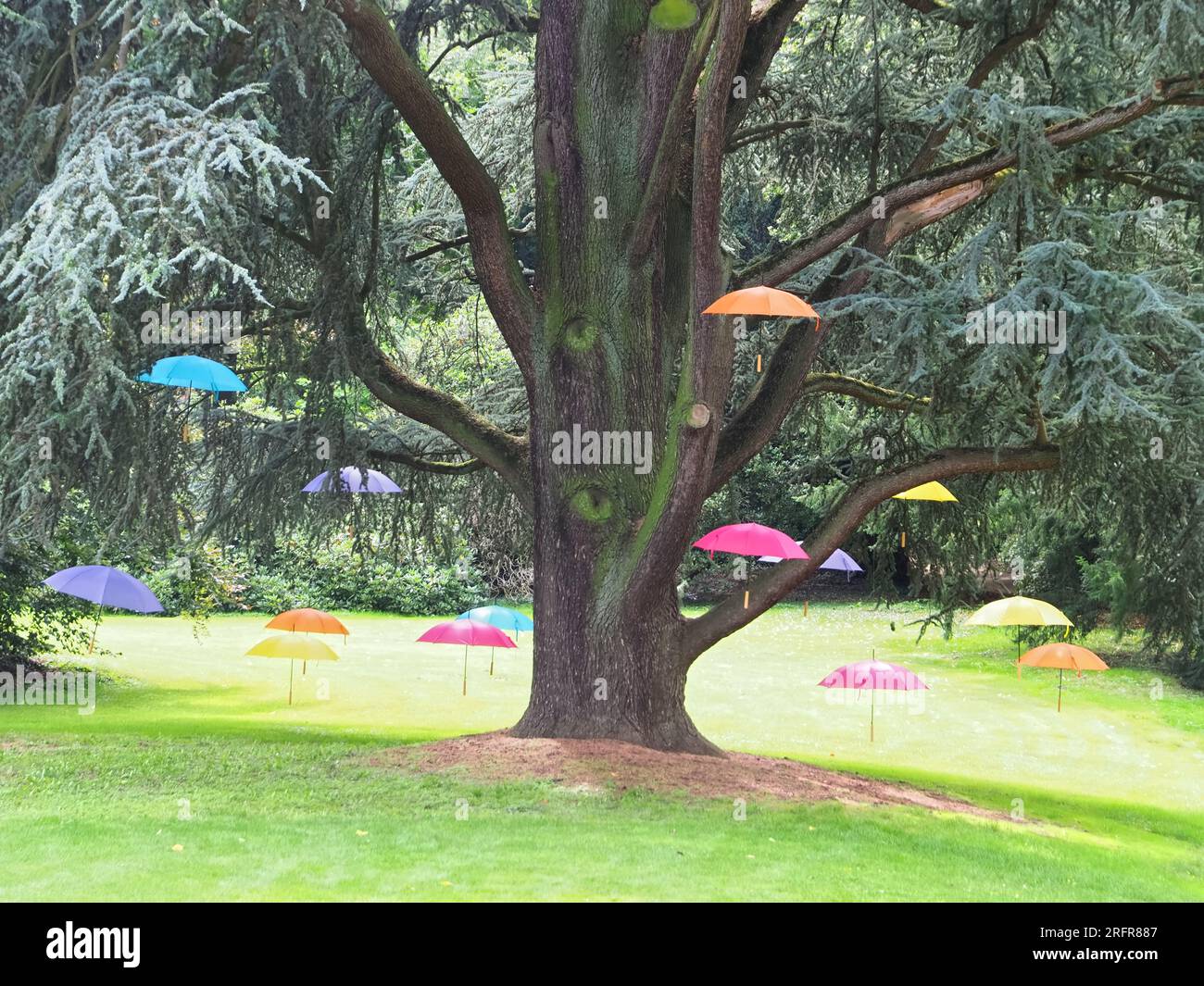 Symbol für Klimaschutz - Sonnenschirme hängen an einem Baum Stockfoto