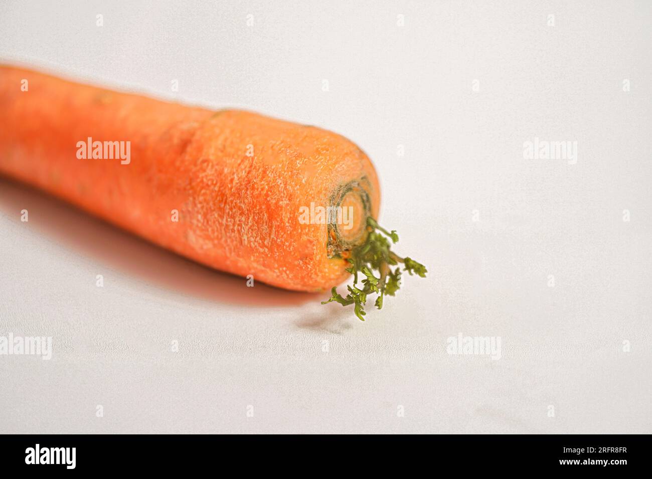 Frische organische Karotten in der Hand, isoliert auf weißem Hintergrund Stockfoto