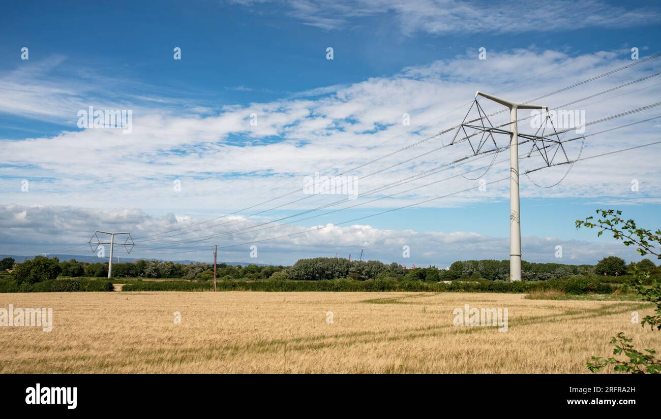 T-Pylonen an der neuen Freileitung Tickenham nach Portishead 400.000 Volt, Vereinigtes Königreich Stockfoto