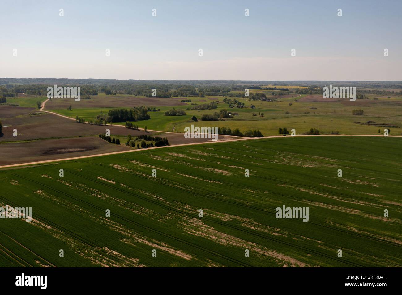 Drohnenfotografie auf dem Raps-Landwirtschaftsfeld am Sommersonntag Stockfoto