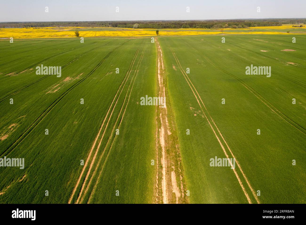 Drohnenfotografie auf landwirtschaftlichen Feldern am Frühlingssonntag Stockfoto