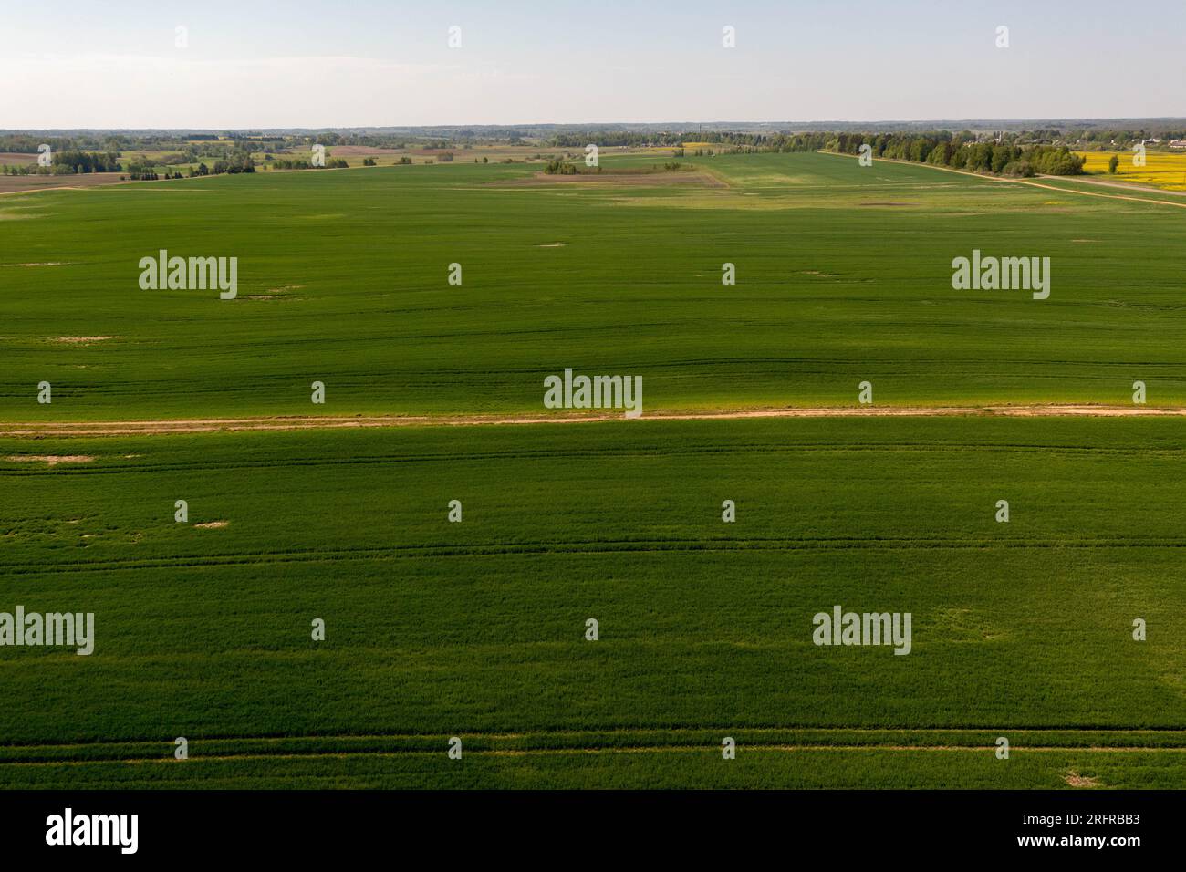 Drohnenfotografie auf landwirtschaftlichen Feldern am Frühlingssonntag Stockfoto