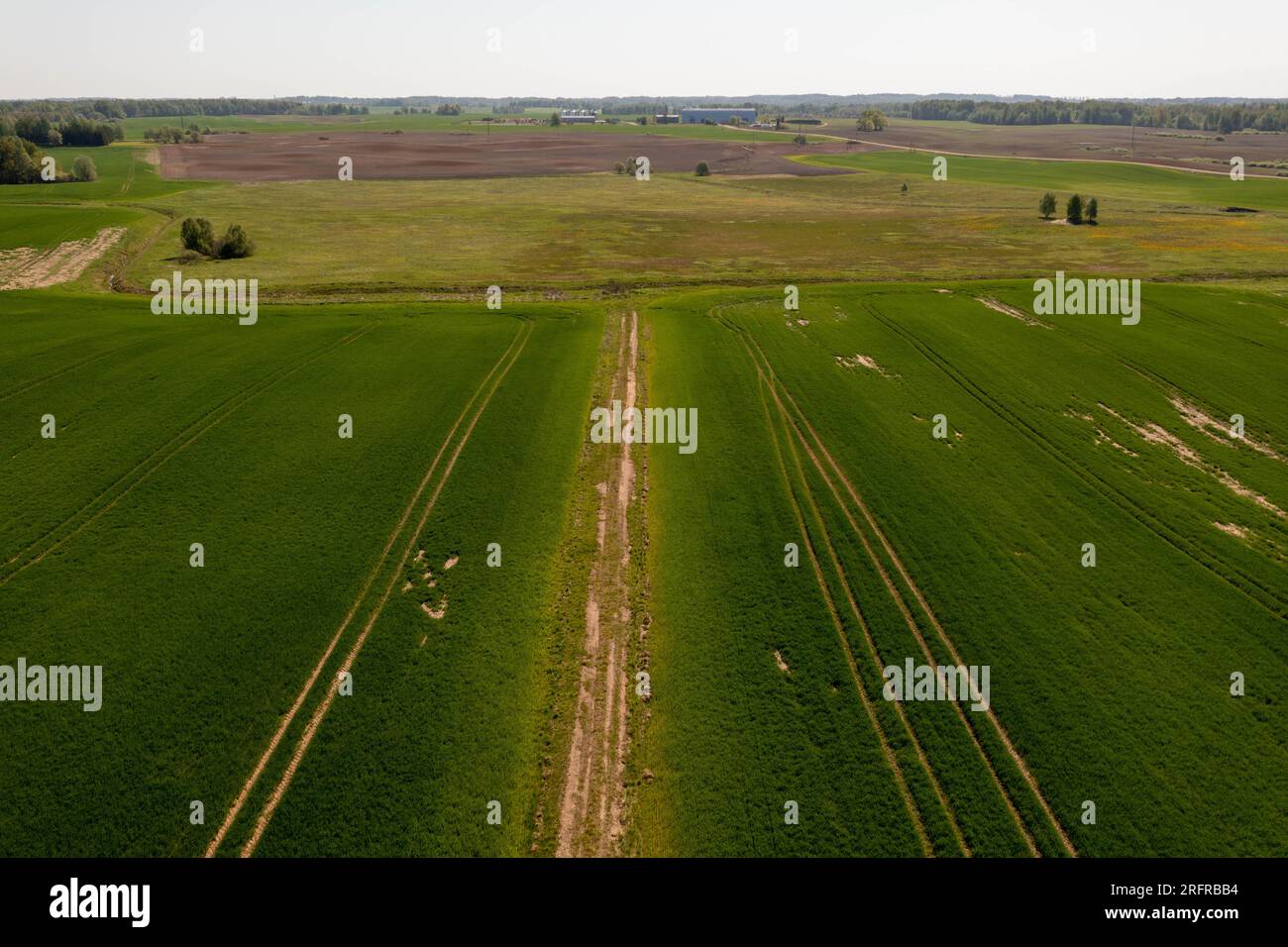 Drohnenfotografie auf landwirtschaftlichen Feldern am Frühlingssonntag Stockfoto