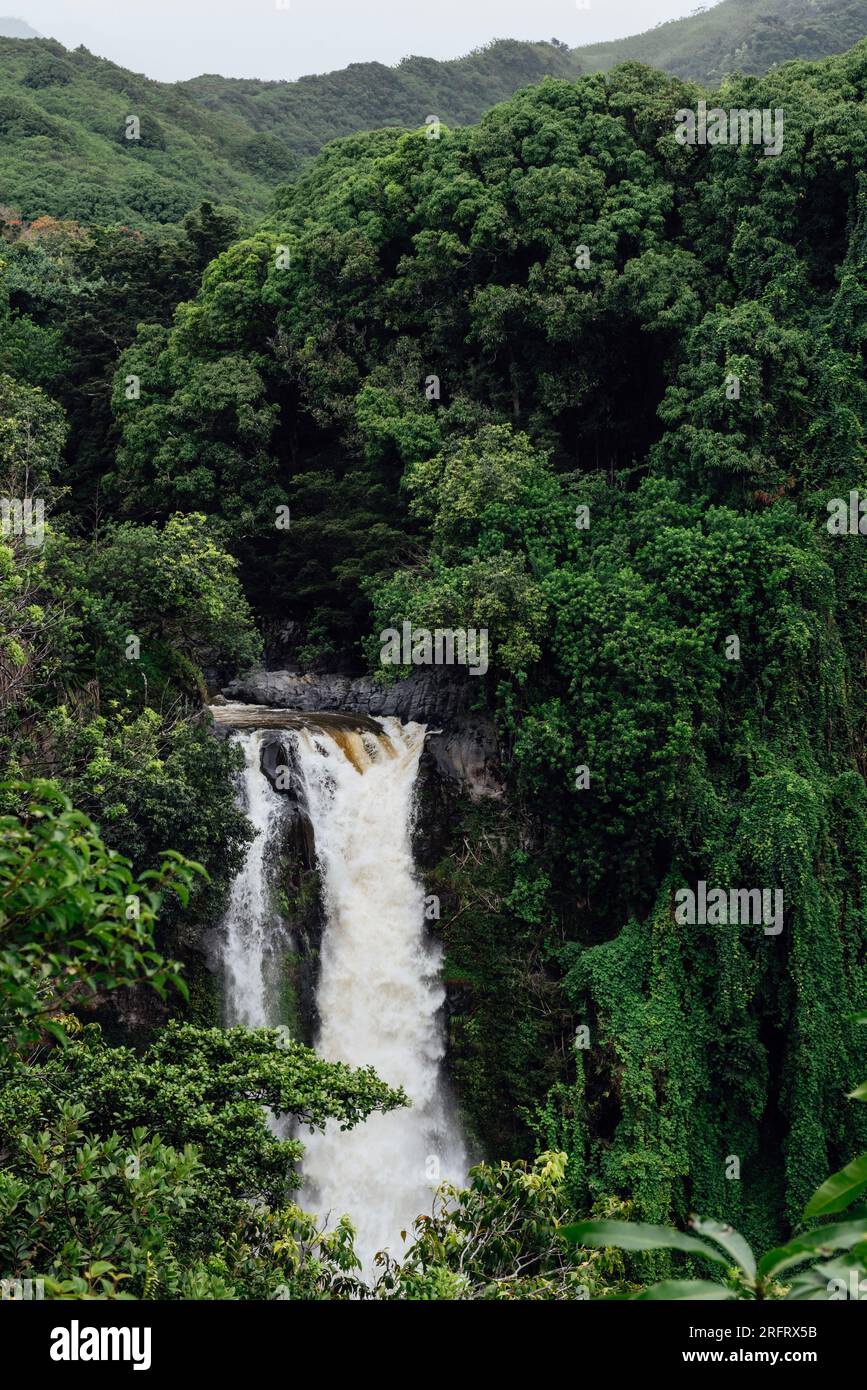 Mächtige Makahiku-Wasserfälle entlang der Straße nach Hana auf Maui Stockfoto