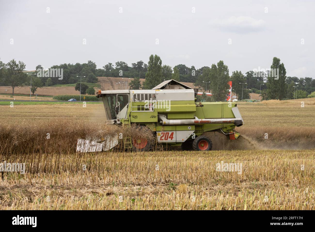 Erntefeld mit Mähdrescher im Sommer. Bei der Ernte auf dem Feld mäht der Mähdrescher Getreide in Nysa, Polen. Stockfoto
