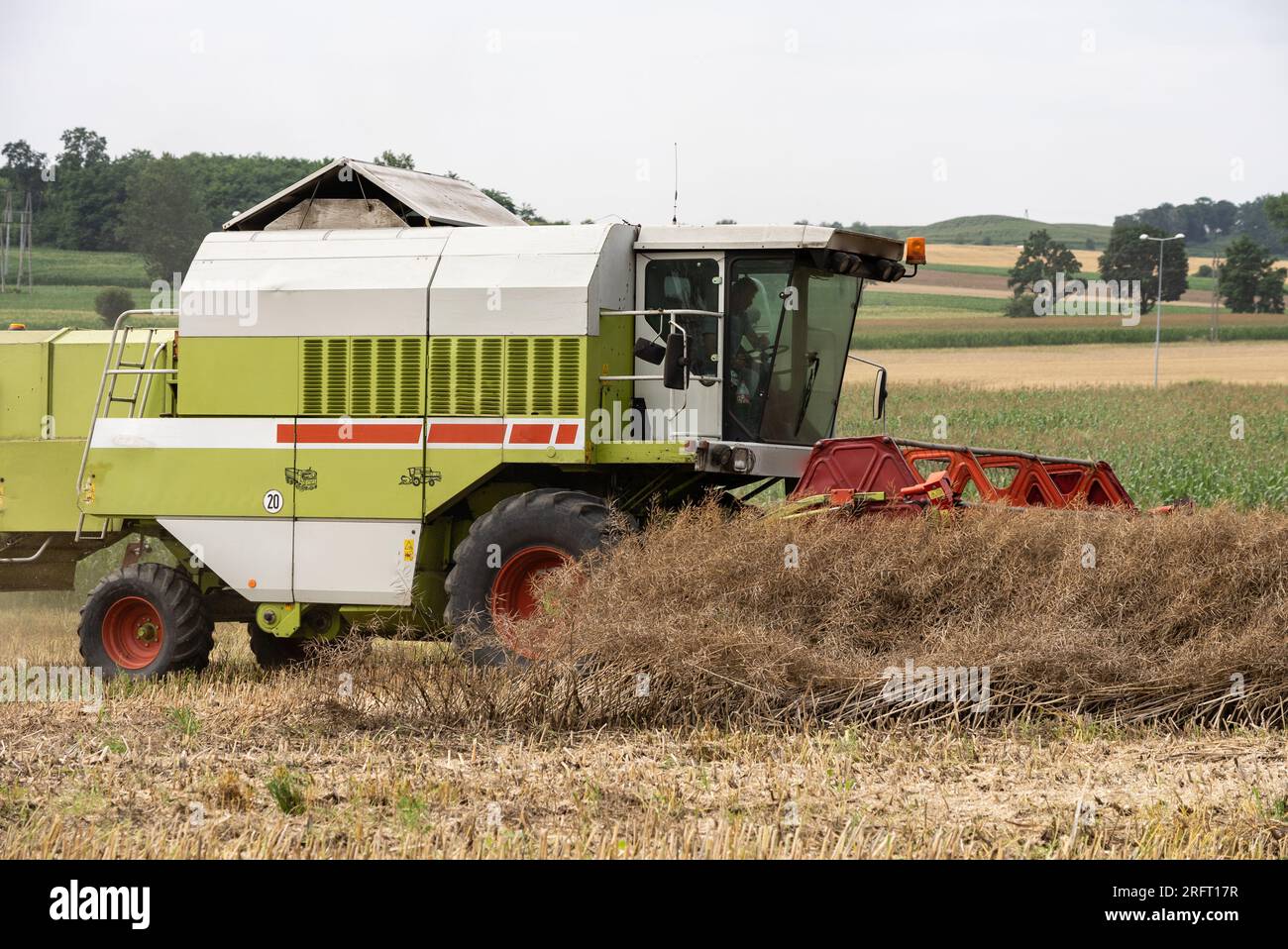 Erntefeld mit Mähdrescher im Sommer. Bei der Ernte auf dem Feld mäht der Mähdrescher Getreide in Nysa, Polen. Stockfoto