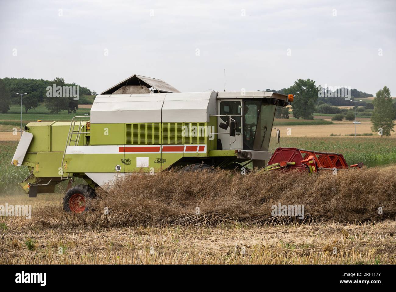 Erntefeld mit Mähdrescher im Sommer. Bei der Ernte auf dem Feld mäht der Mähdrescher Getreide in Nysa, Polen. Stockfoto