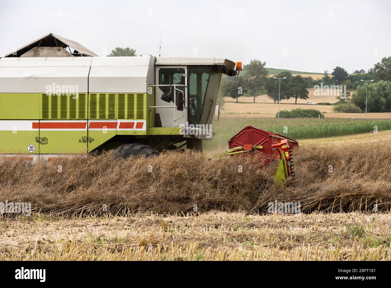 Erntefeld mit Mähdrescher im Sommer. Bei der Ernte auf dem Feld mäht der Mähdrescher Getreide in Nysa, Polen. Stockfoto