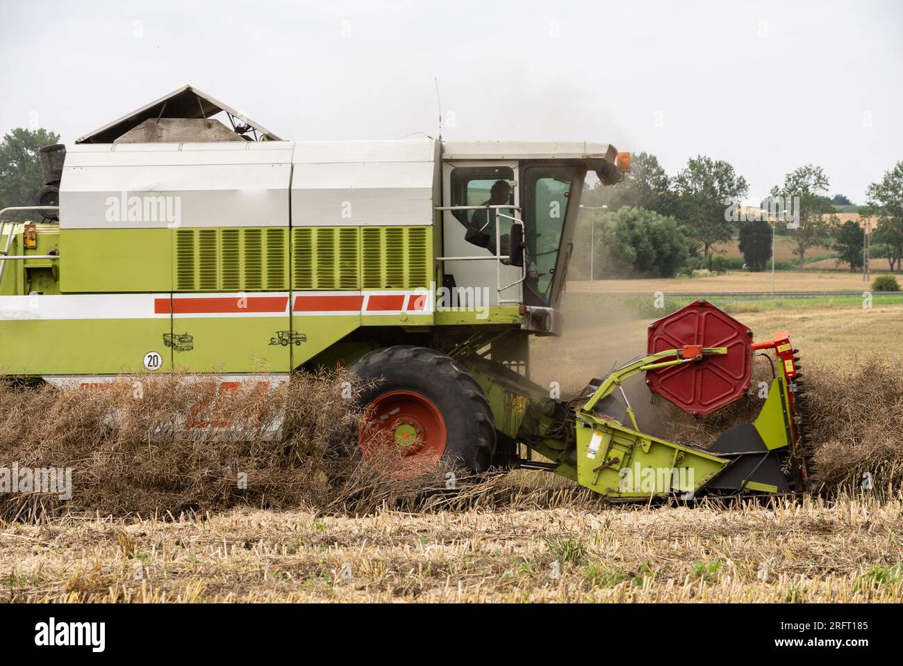Erntefeld mit Mähdrescher im Sommer. Bei der Ernte auf dem Feld mäht der Mähdrescher Getreide in Nysa, Polen. Stockfoto