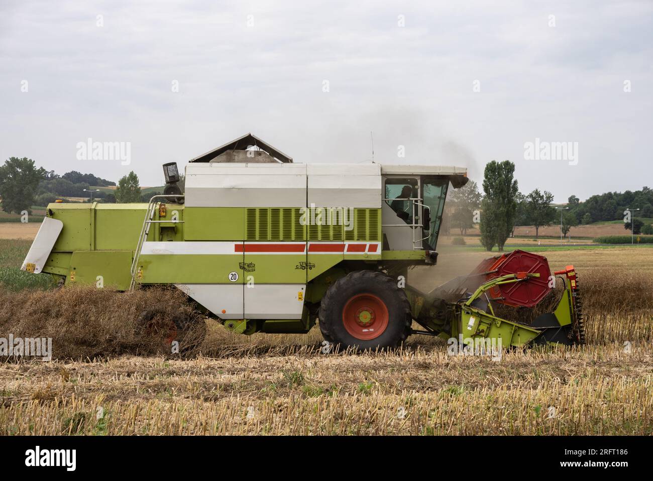 Erntefeld mit Mähdrescher im Sommer. Bei der Ernte auf dem Feld mäht der Mähdrescher Getreide in Nysa, Polen. Stockfoto