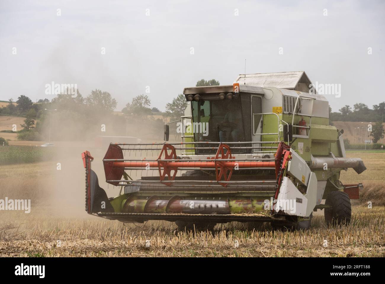 Erntefeld mit Mähdrescher im Sommer. Bei der Ernte auf dem Feld mäht der Mähdrescher Getreide in Nysa, Polen. Stockfoto