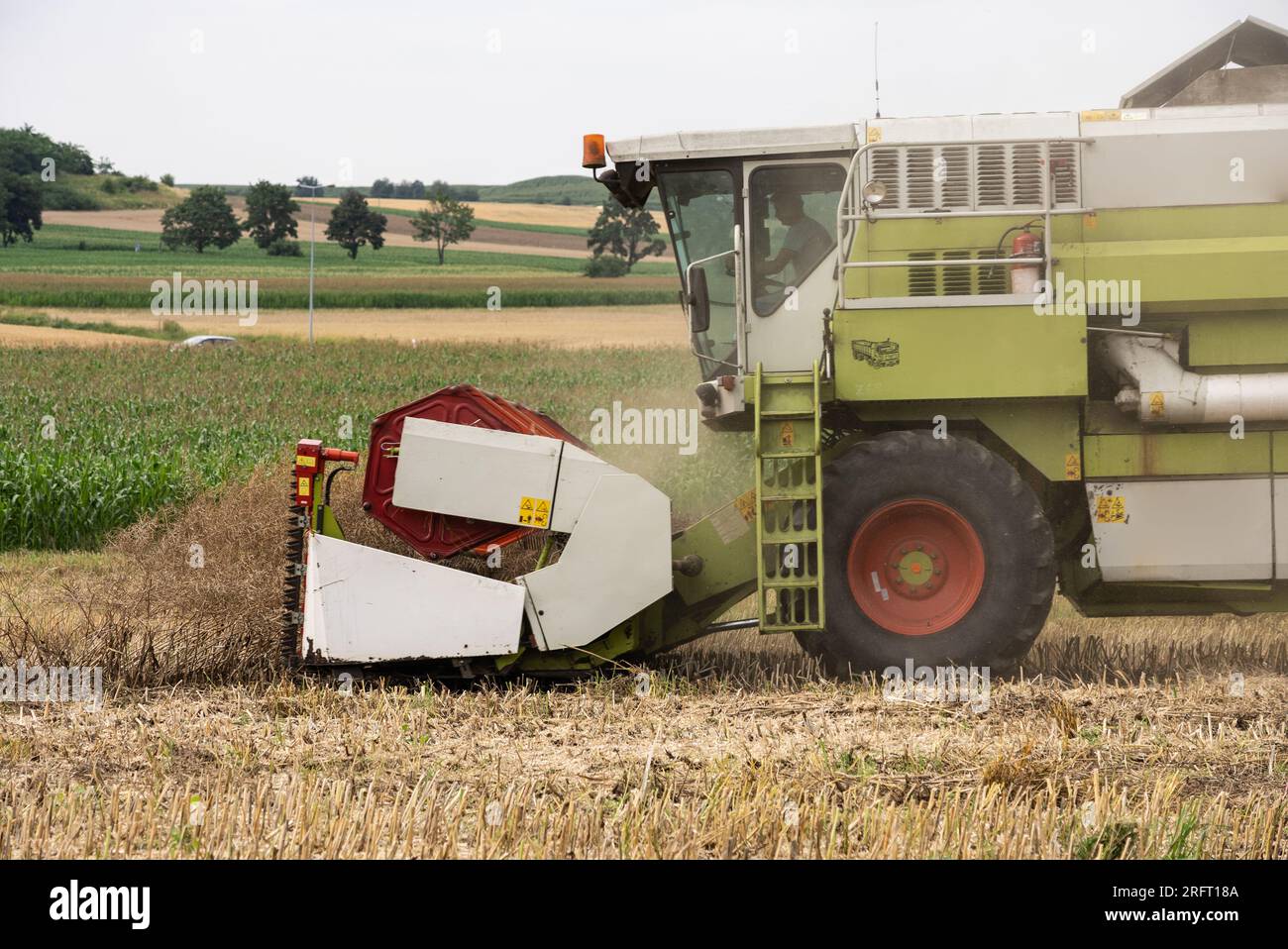 Erntefeld mit Mähdrescher im Sommer. Bei der Ernte auf dem Feld mäht der Mähdrescher Getreide in Nysa, Polen. Stockfoto