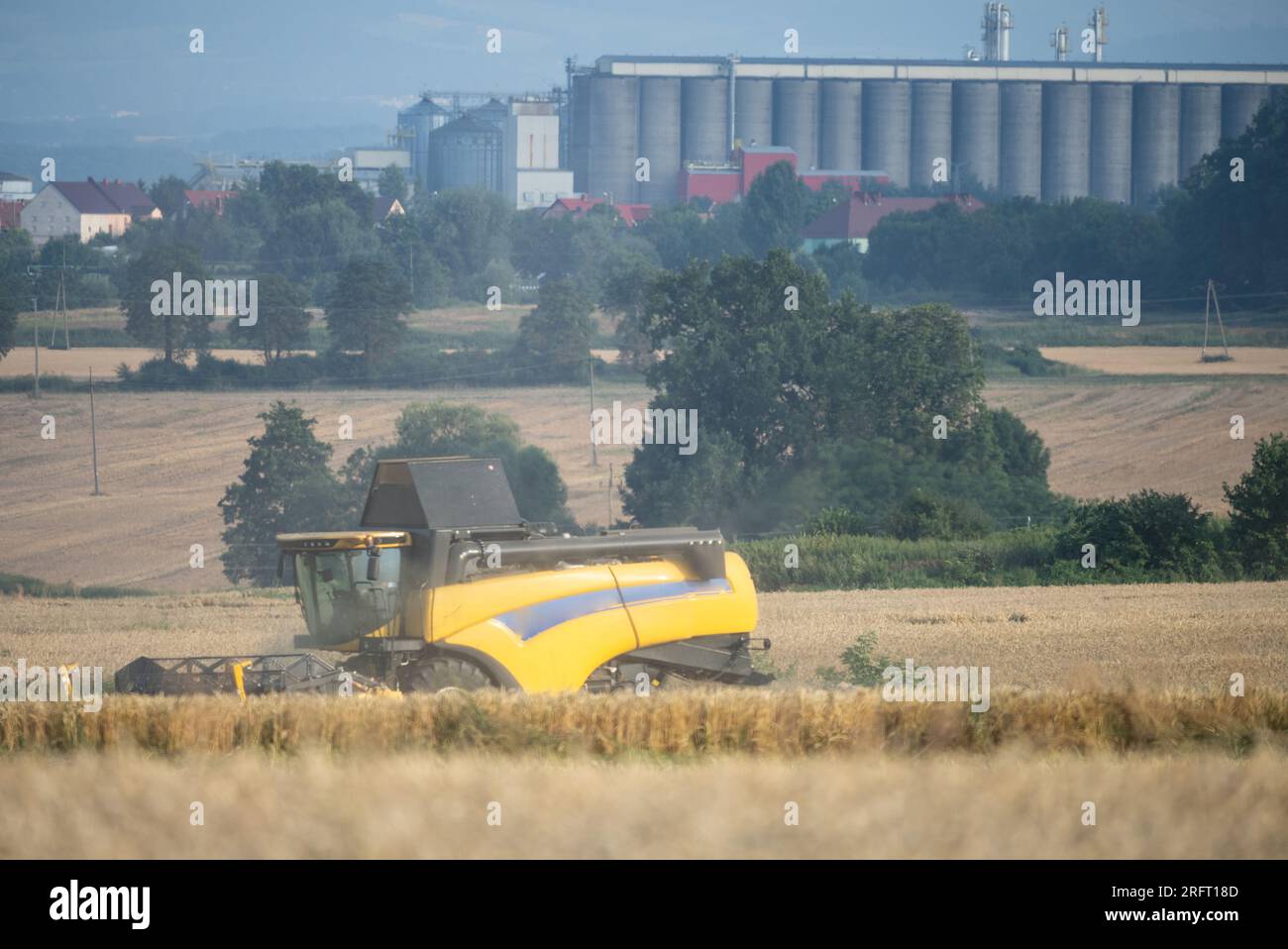 Erntefeld mit Mähdrescher im Sommer. Bei der Ernte auf dem Feld mäht der Mähdrescher Getreide in Nysa, Polen. Stockfoto