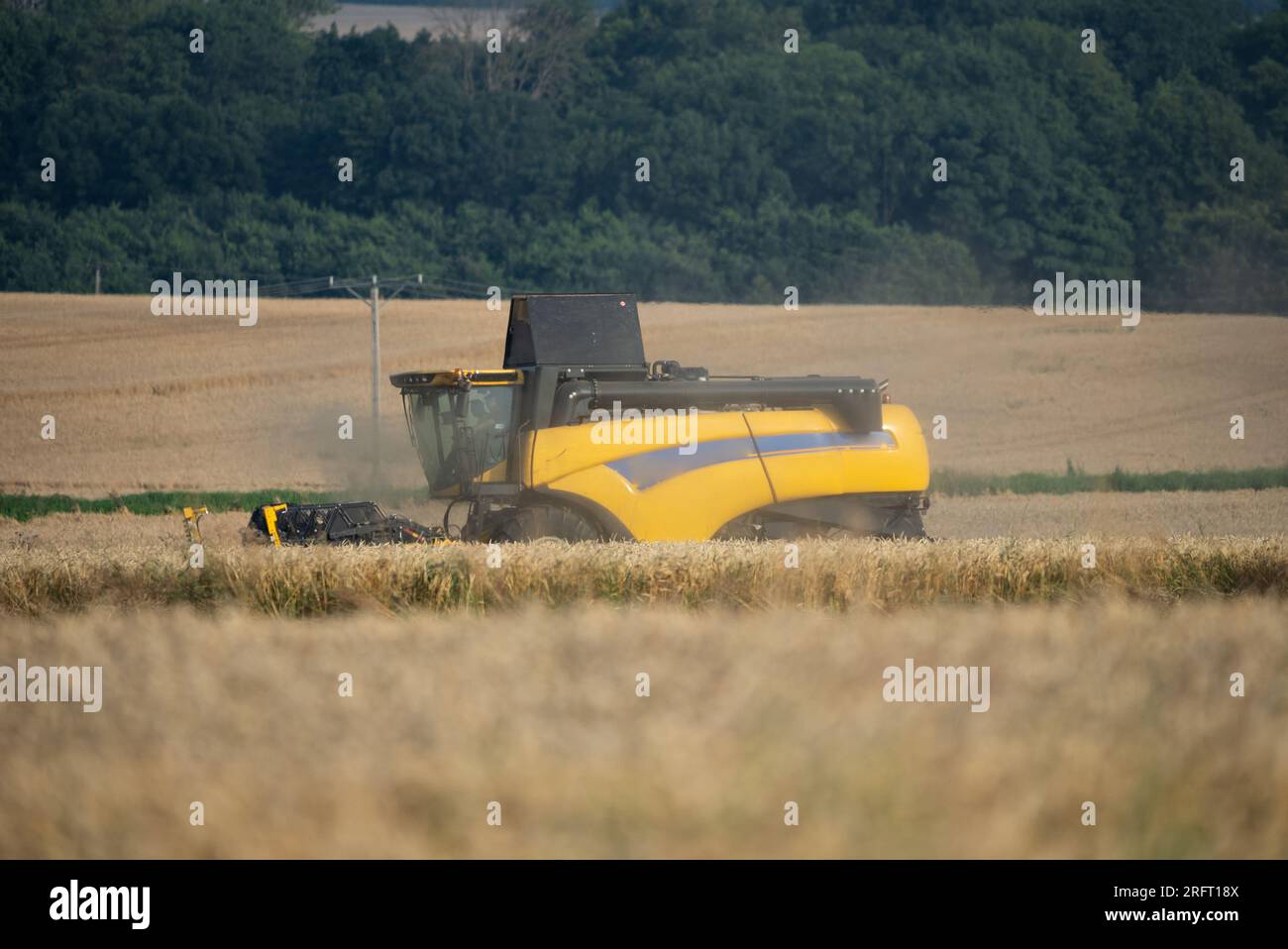 Erntefeld mit Mähdrescher im Sommer. Bei der Ernte auf dem Feld mäht der Mähdrescher Getreide in Nysa, Polen. Stockfoto