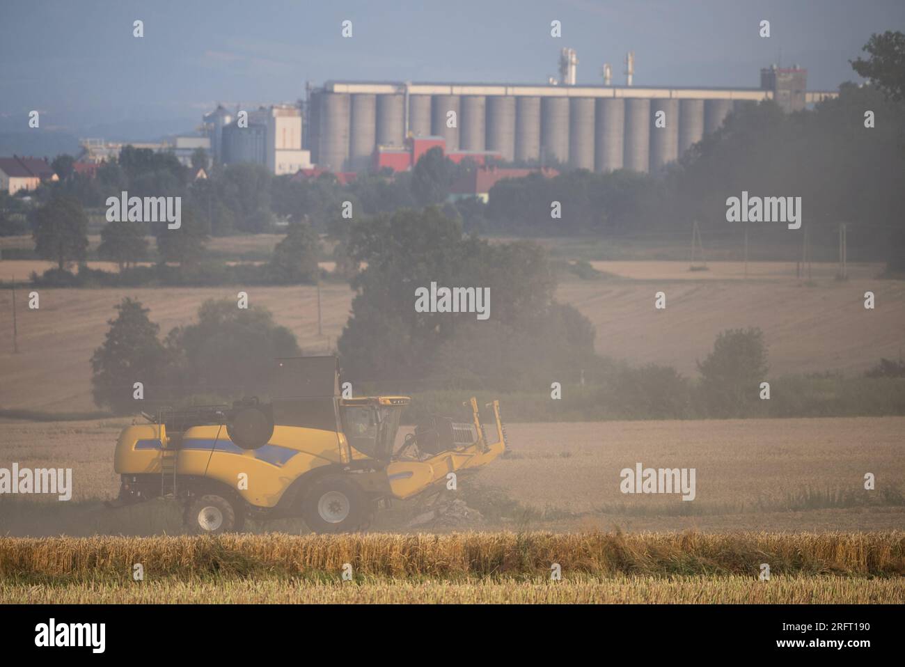 Erntefeld mit Mähdrescher im Sommer. Bei der Ernte auf dem Feld mäht der Mähdrescher Getreide in Nysa, Polen. Stockfoto