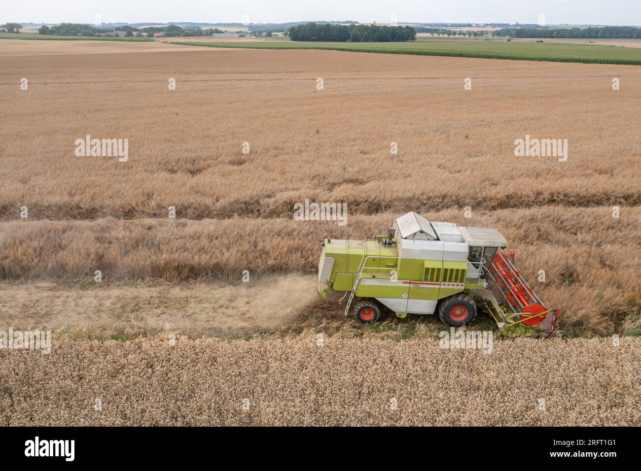 Erntefeld mit Mähdrescher im Sommer. Bei der Ernte auf dem Feld mäht der Mähdrescher Getreide in Nysa, Polen. Luftdrohnenfoto von Harve Stockfoto