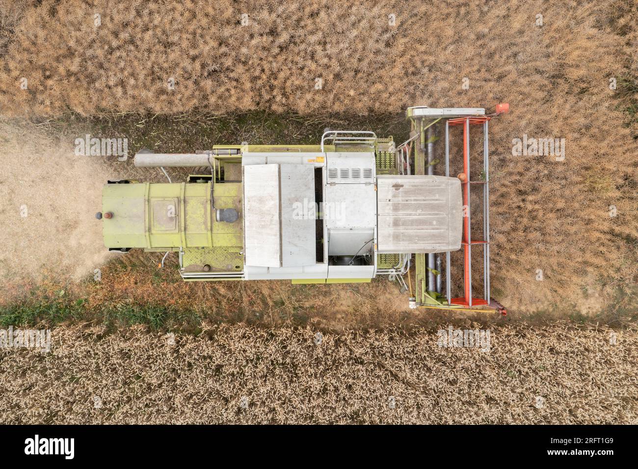 Erntefeld mit Mähdrescher im Sommer. Bei der Ernte auf dem Feld mäht der Mähdrescher Getreide in Nysa, Polen. Luftdrohnenfoto von Harve Stockfoto