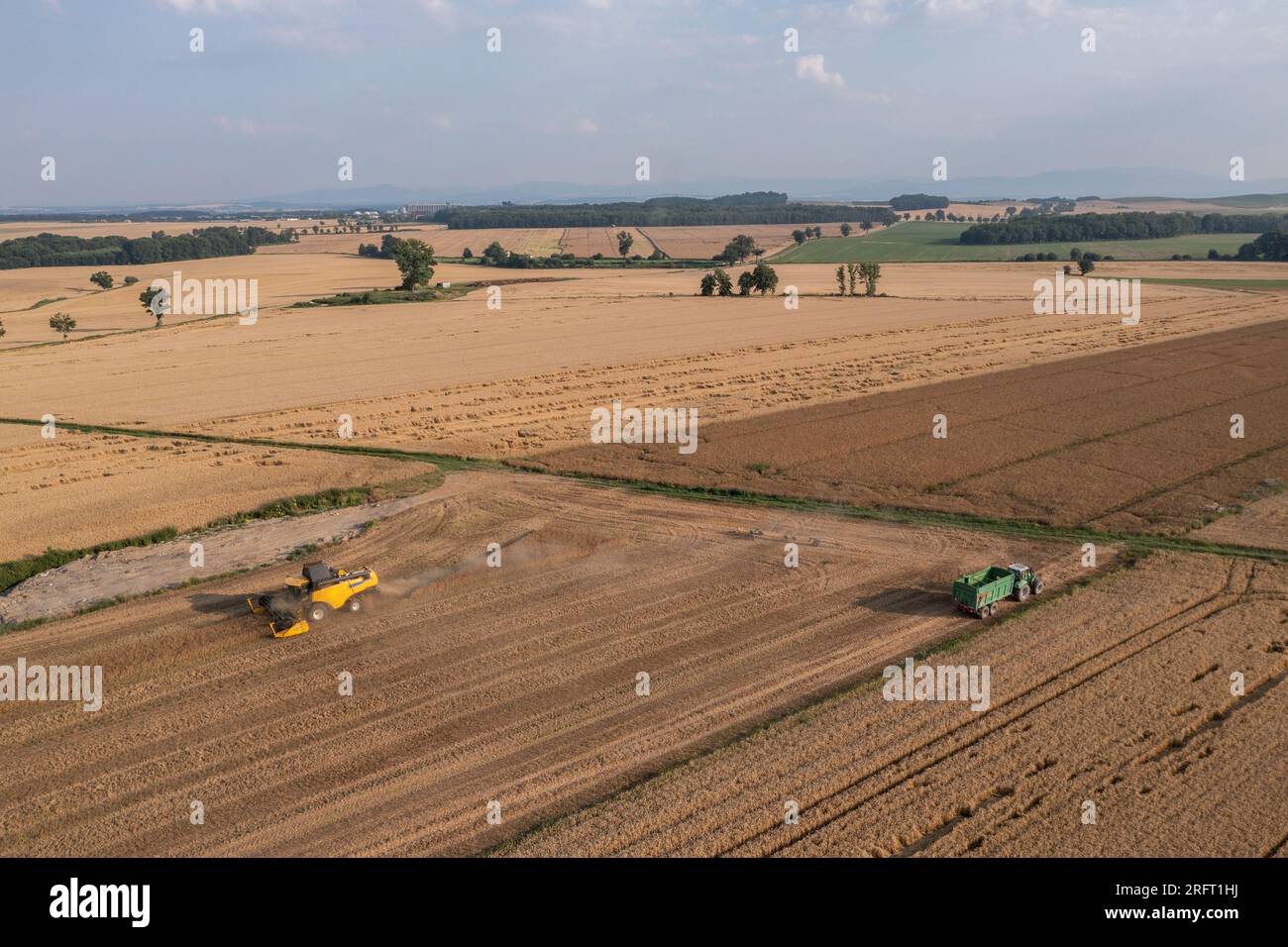 Erntefeld mit Mähdrescher im Sommer. Bei der Ernte auf dem Feld mäht der Mähdrescher Getreide in Nysa, Polen. Luftdrohnenfoto von Harve Stockfoto