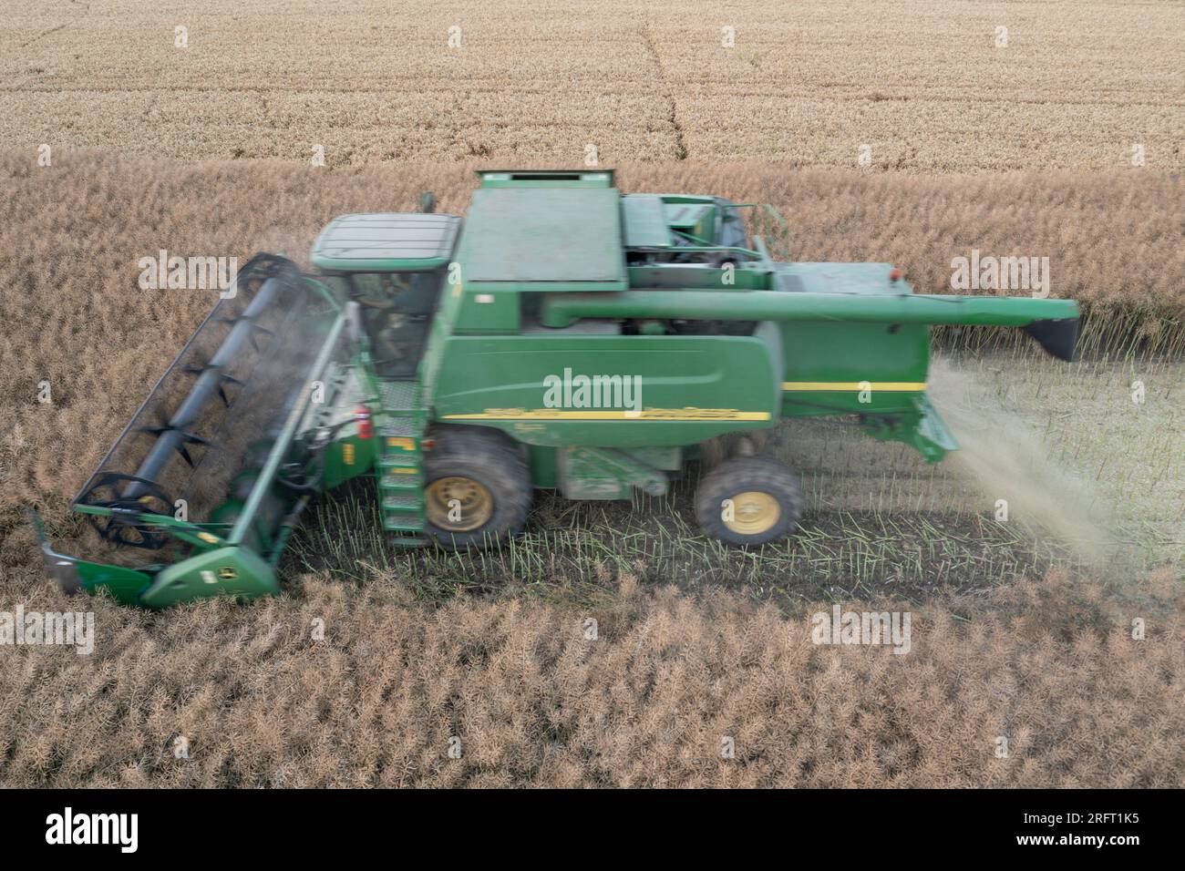 Erntefeld mit Mähdrescher im Sommer. Bei der Ernte auf dem Feld mäht der Mähdrescher Getreide in Nysa, Polen. Luftdrohnenfoto von Harve Stockfoto