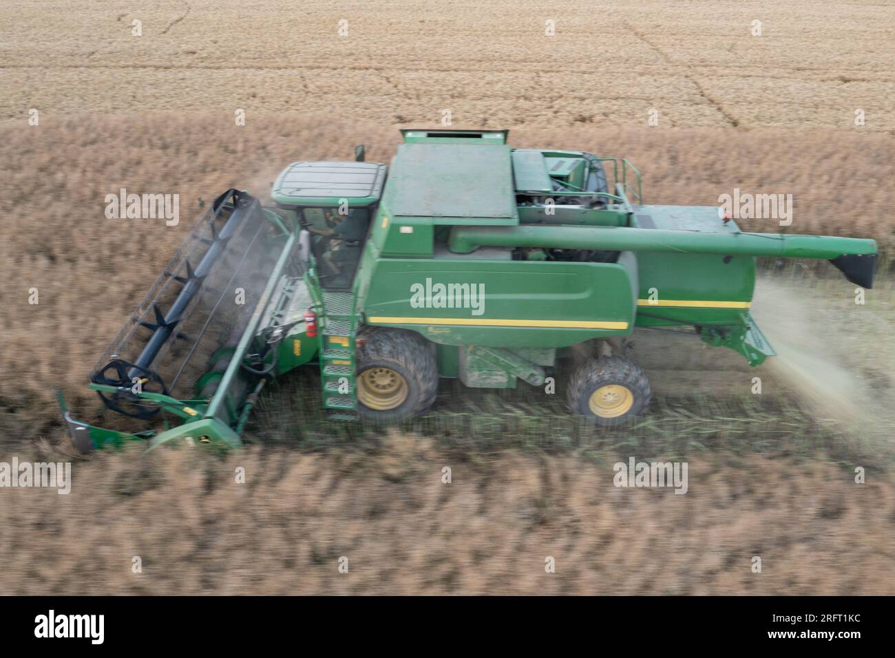 Erntefeld mit Mähdrescher im Sommer. Bei der Ernte auf dem Feld mäht der Mähdrescher Getreide in Nysa, Polen. Luftdrohnenfoto von Harve Stockfoto