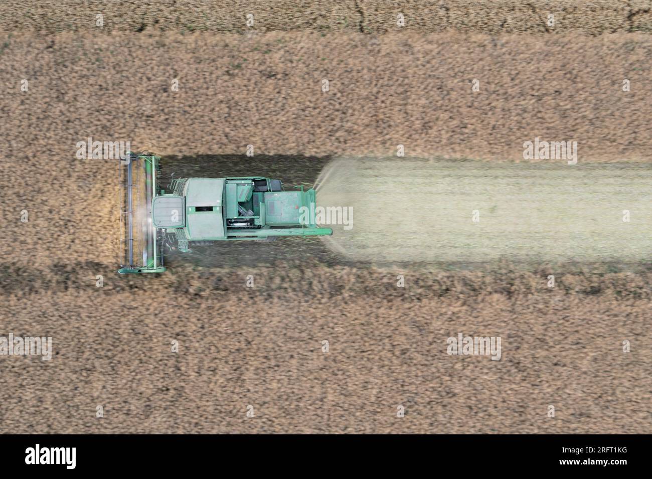 Erntefeld mit Mähdrescher im Sommer. Bei der Ernte auf dem Feld mäht der Mähdrescher Getreide in Nysa, Polen. Luftdrohnenfoto von Harve Stockfoto