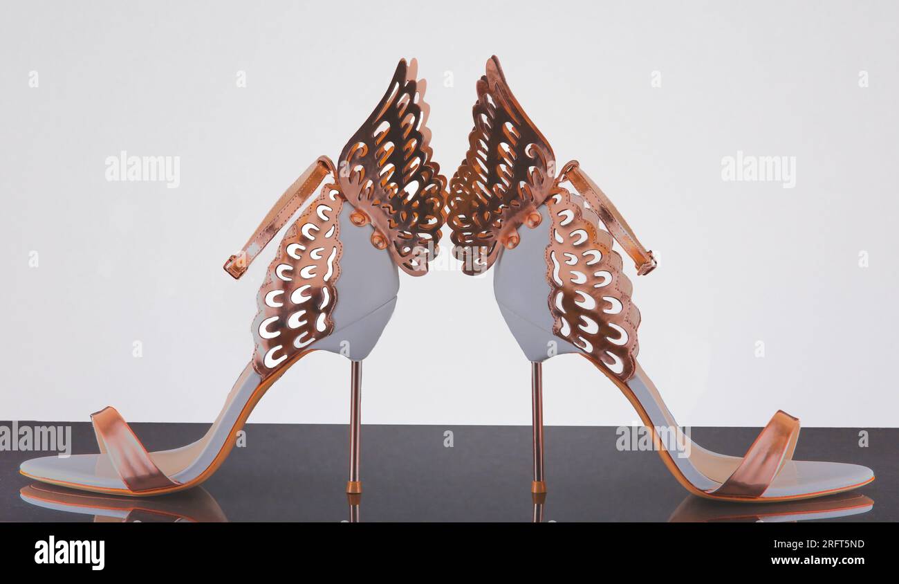 Zwei luxuriöse Damenschuhe mit hohem Absatz und schwarzer Oberfläche und weißem Hintergrund. Stockfoto