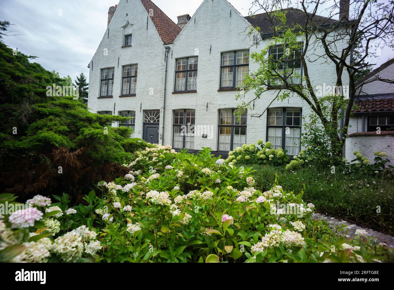 Das Brügge Beguinage liegt im historischen Zentrum, stammt aus dem Jahr 1245 und war eine Gemeinschaft von Nonnen, die nur aus Frauen bestand. Es ist ein UNESCO-Weltkulturerbe Stockfoto