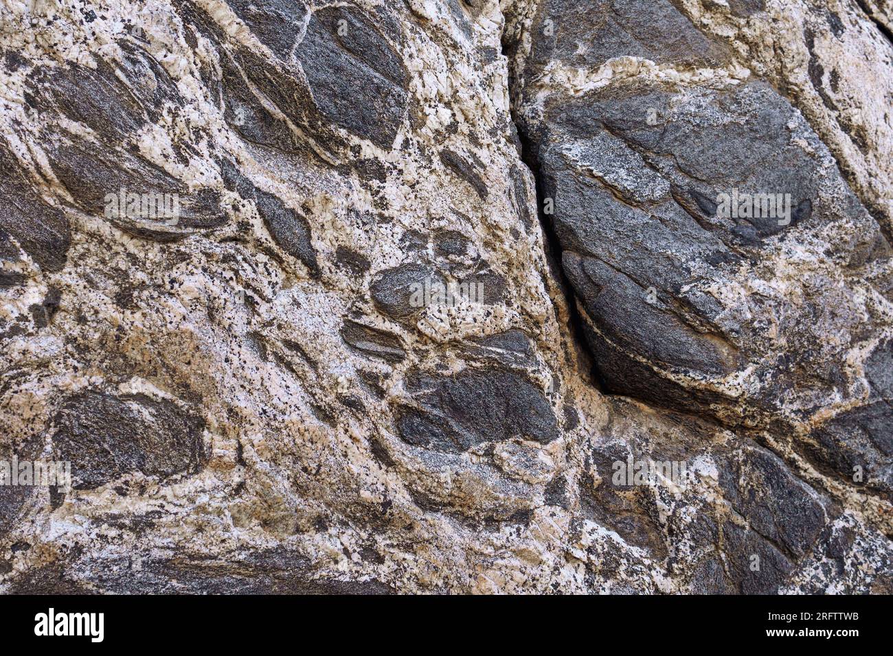Metamorpher Gneiss-Felshintergrund mit Textur und Schwarz-Weiß-Schichten. Quarzdiorit bis Quarzmonzonit-Gneis. Stockfoto