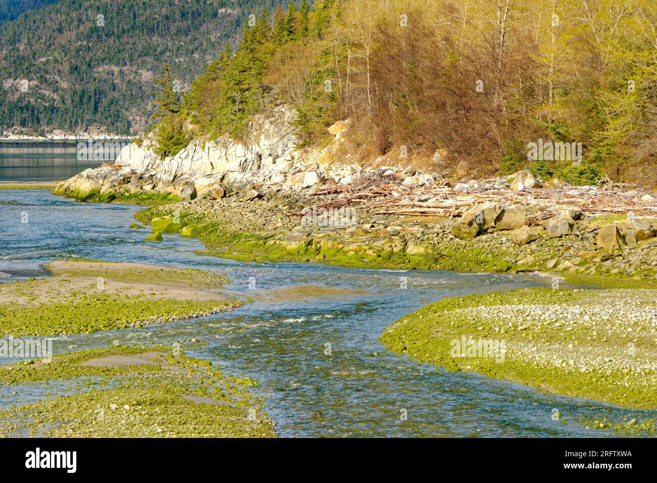 Der flache Fluss führt zum Chilkoot Inlet Skagway, Alaska Stockfoto