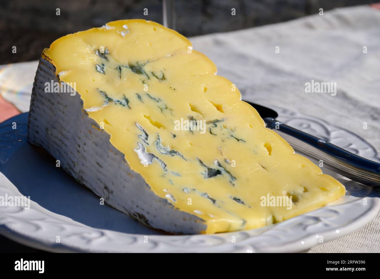 Käsesammlung, Blaukäse aus den französischen Alpen, Bleu de Savoie aus nächster Nähe Stockfoto