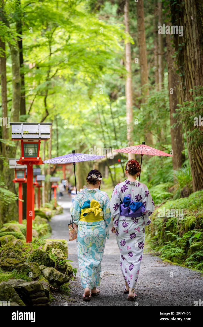 Rückansicht von zwei Frauen mit japanischem Yukata-Sommerkimono und japanischem traditionellen Ölpapierschirm, die in der Natur des Kifune-Schreins spazieren Stockfoto