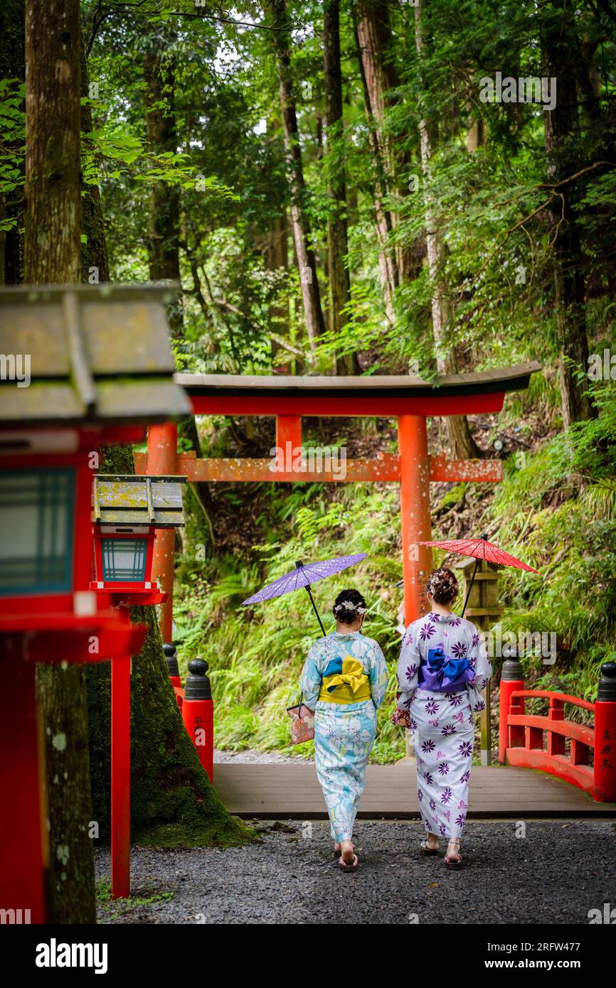 Rückansicht von zwei Frauen mit japanischem Yukata-Sommerkimono und japanischem traditionellen Ölpapierschirm, die in der Natur des Kifune-Schreins spazieren Stockfoto