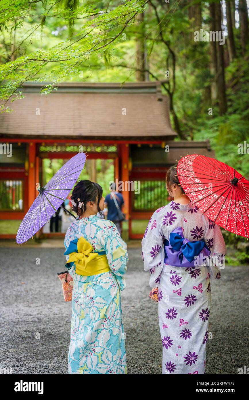 Rückansicht von zwei Frauen, die japanische Yukata-Sommerkimono tragen und einen traditionellen japanischen Ölpapierschirm im Naturwaldtor des Kifune-Schreins halten Stockfoto