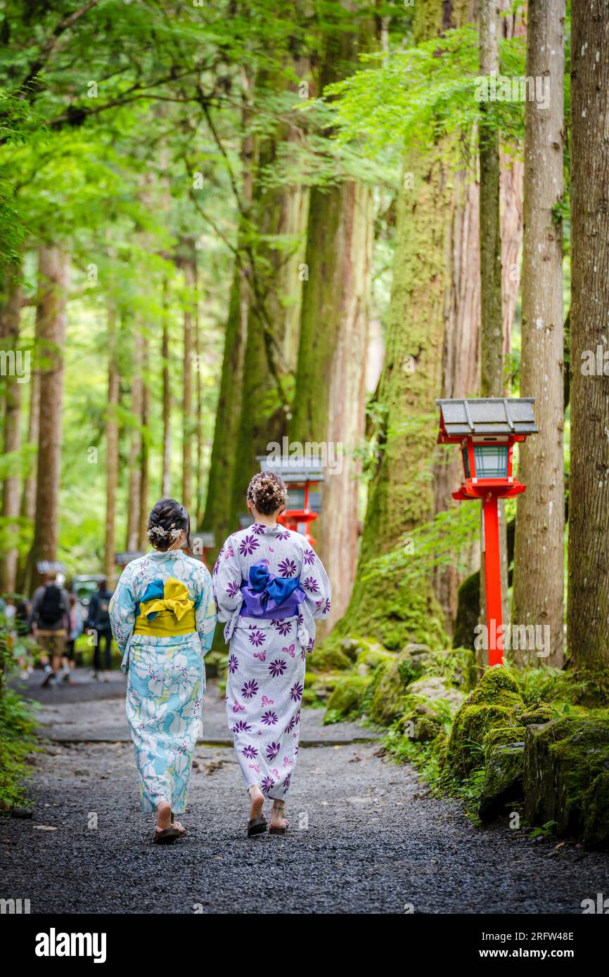 Rückansicht von zwei Frauen mit japanischem Yukata-Sommerkimono im Kifune-Schrein-Naturwald, Kyoto, Japan. Stockfoto