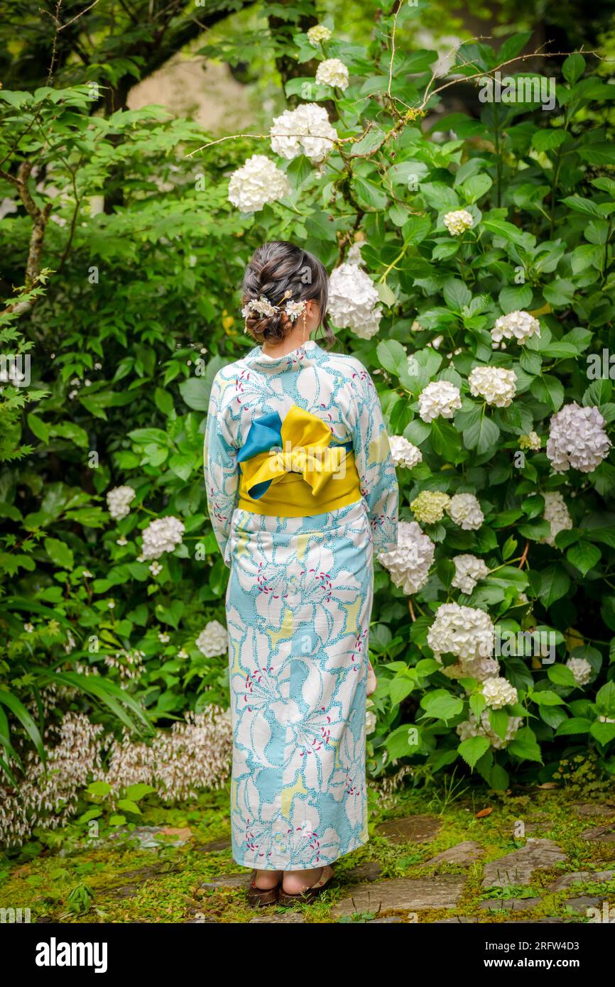 Rückansicht einer Frau mit japanischem Yukata-Sommerkimono, die neben blühenden Hortensien steht. Kyoto, Japan. Stockfoto