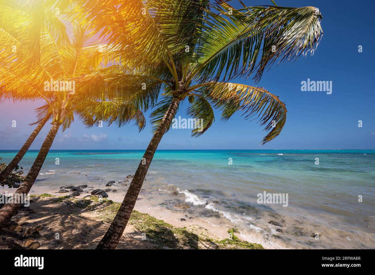 Strand im Paradies Karibik blauer Meereshintergrund. Heller, sonniger Tag auf der Insel Stockfoto