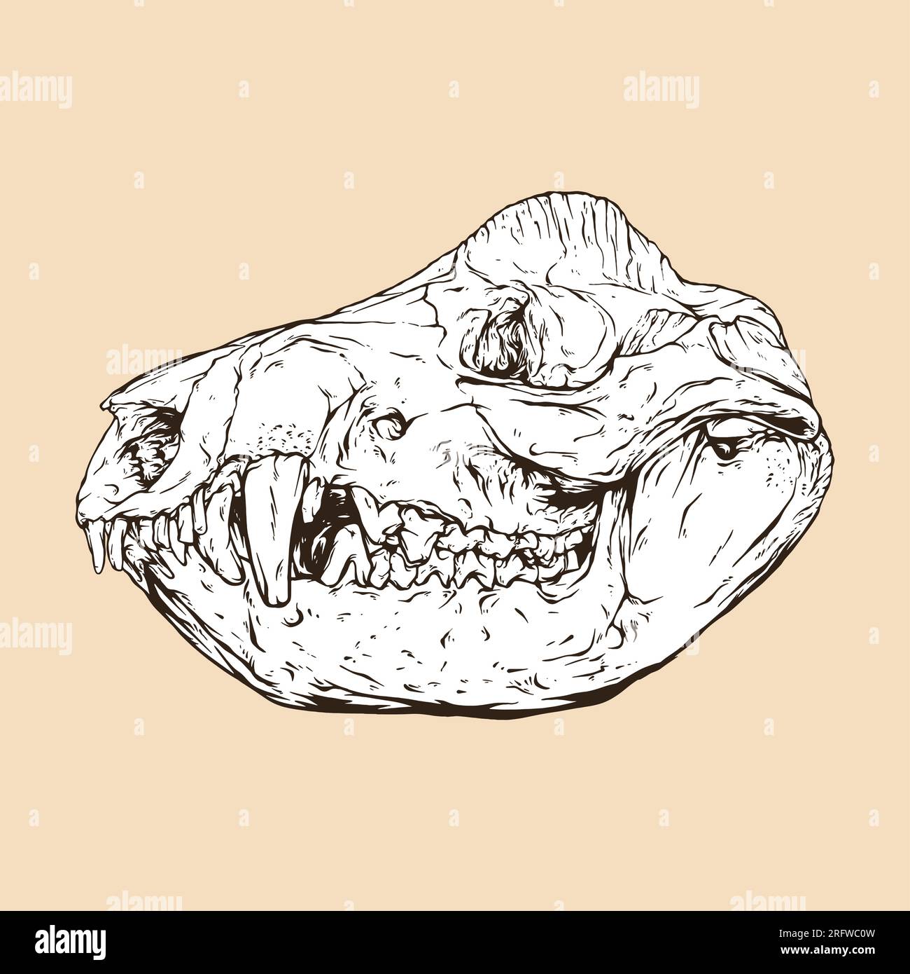 Opossum-Schädel-Kopf-Vektordarstellung Stock Vektor