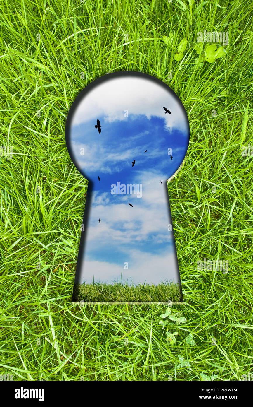 Ein Schlüsselloch, das in ein Grasfeld mit Himmel und Vögeln drinnen geschnitten wurde Stockfoto