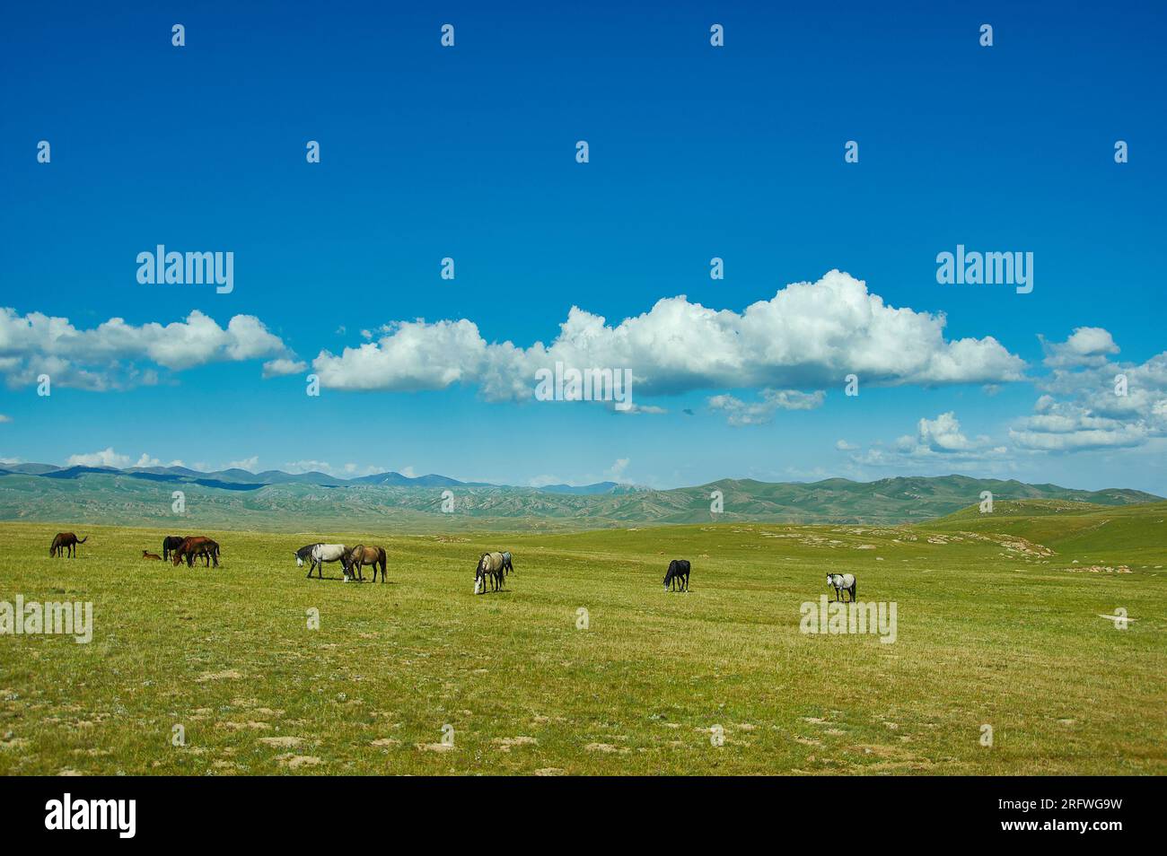 Der Bergsee Son kul in kirgisistan liegt auf einer Höhe von über 3000 Metern Stockfoto Der Bergsee Son kul in kirgisistan liegt auf einer Höhe von über 3000 Metern Stockfoto