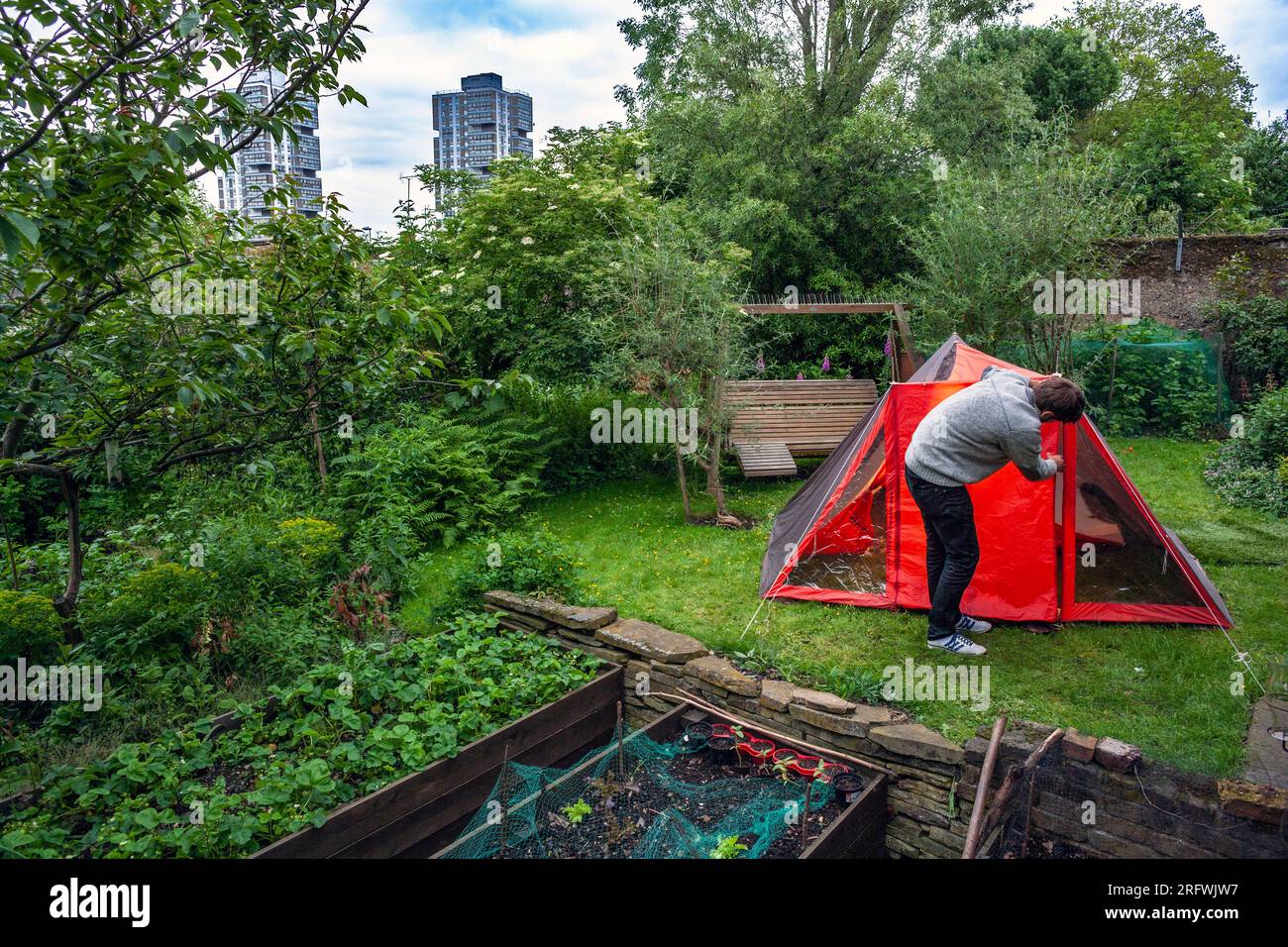 Junger Mann, der ein Zelt auf einem Rasen im Garten eröffnet, London, Großbritannien Stockfoto