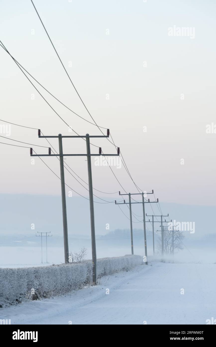 Telegraphenmasten verschwinden in der Ferne Gog Magogs, nebeliger Wintersonnenaufgang Stockfoto