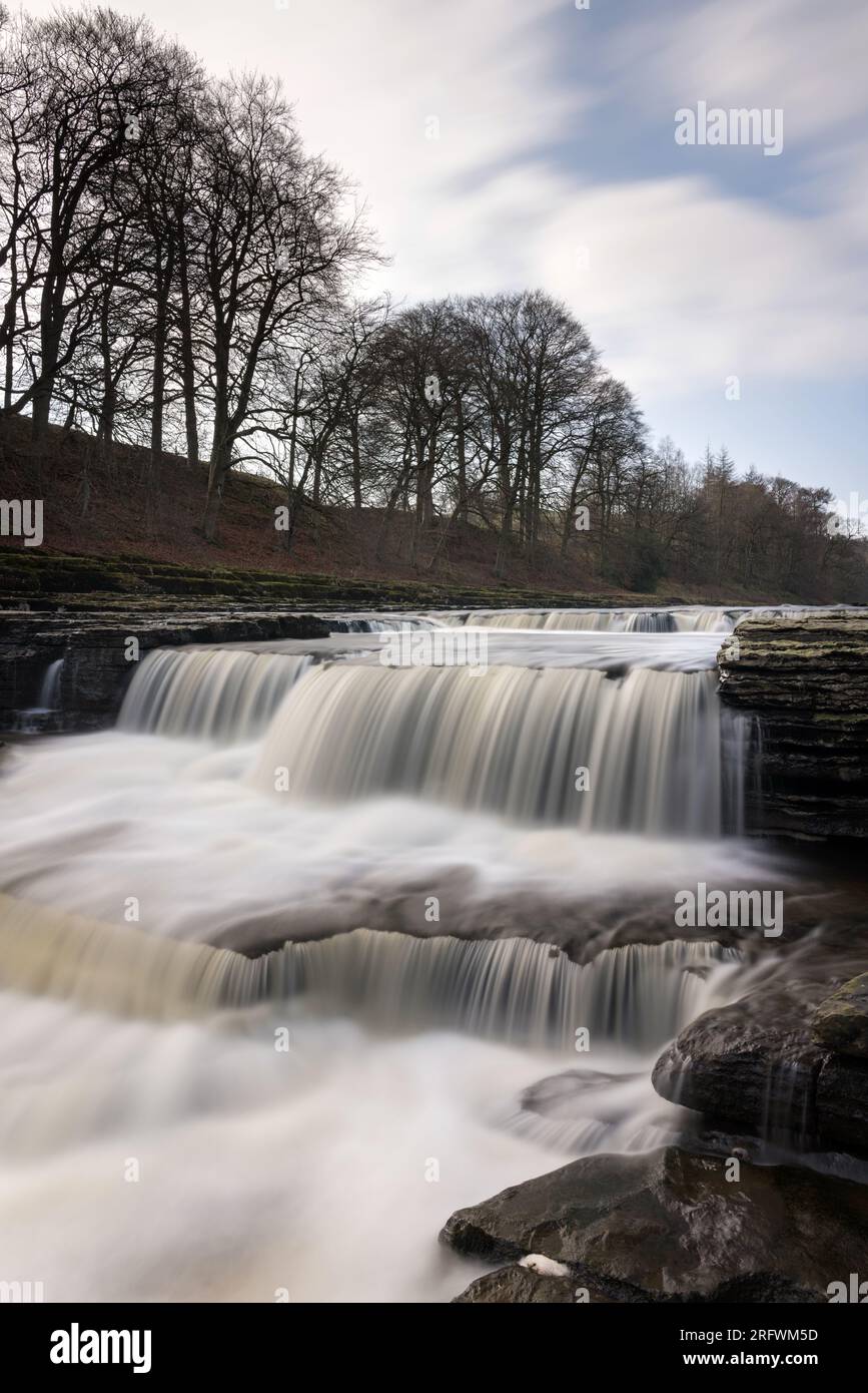 Aysgarth Lower Falls, Wensleydale, Yorkshire Dales Stockfoto