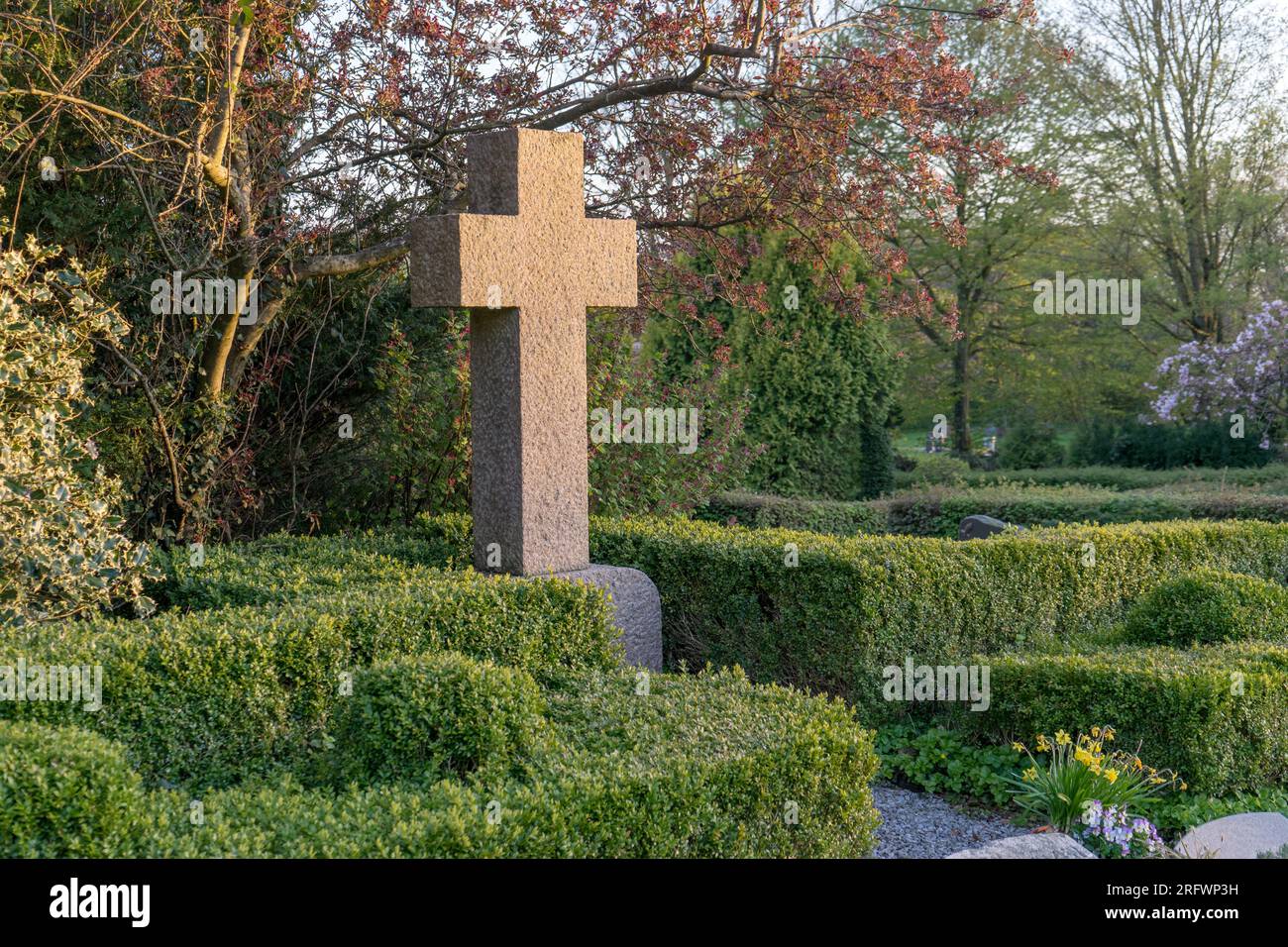Im Frühling kreuzen sich im Abendlicht Steine mit Bäumen und Buchsholzhecke Stockfoto