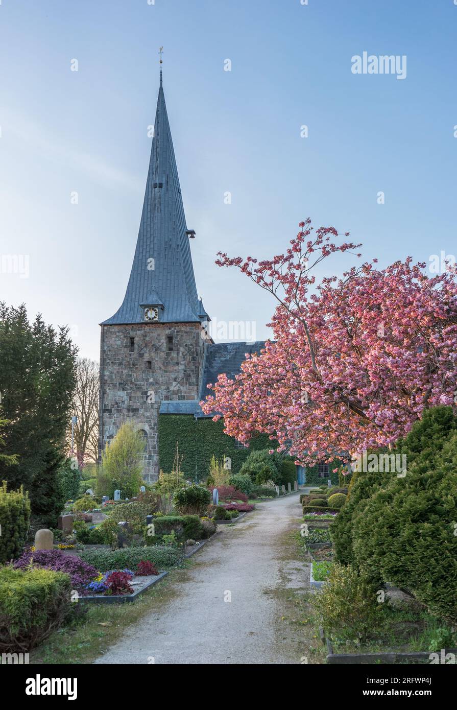 St. Mary's Church in Soerup, Schleswig-Holstein im Frühling Stockfoto