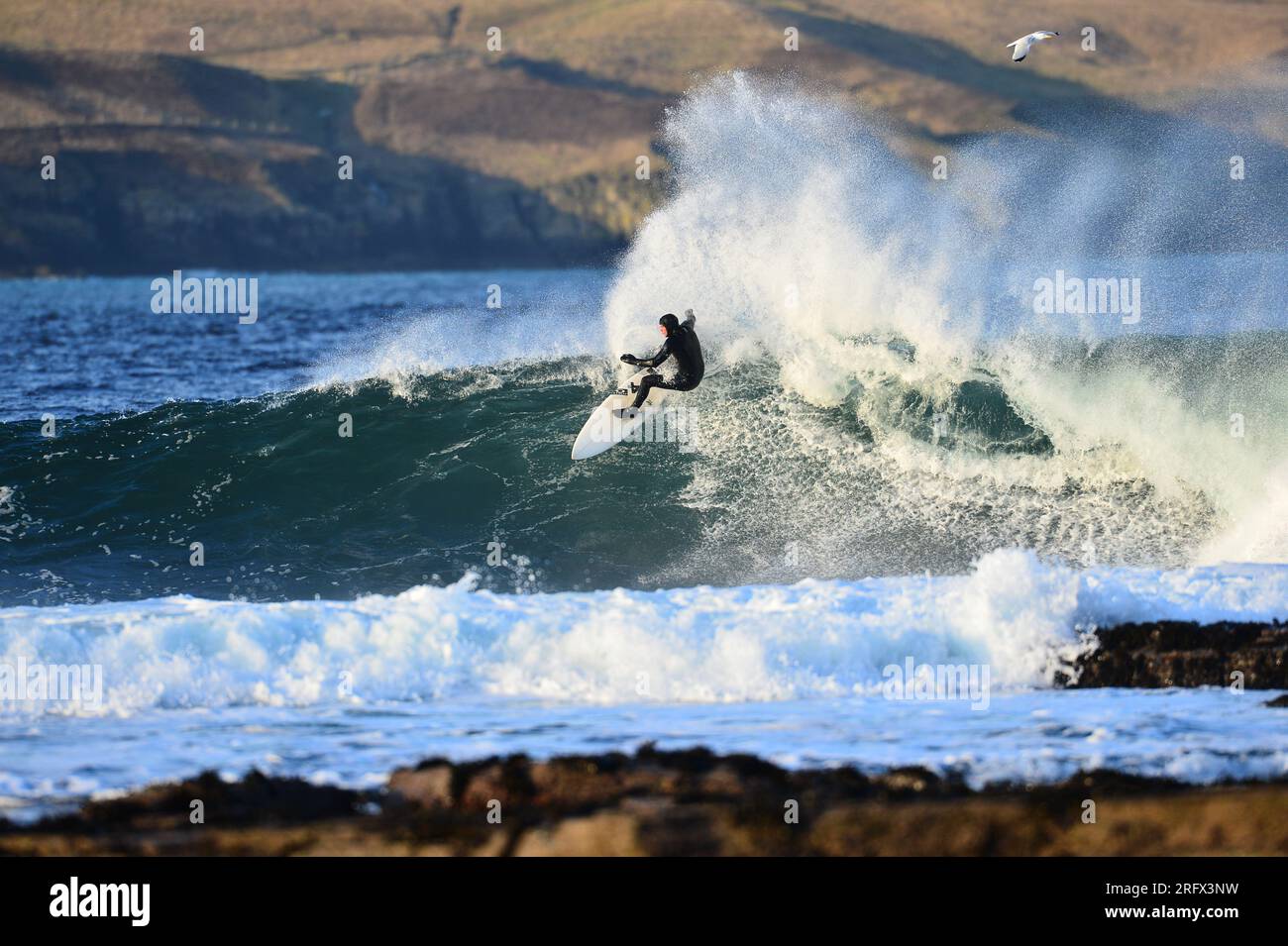 Surfer auf dem Wappen der Welle Stockfoto