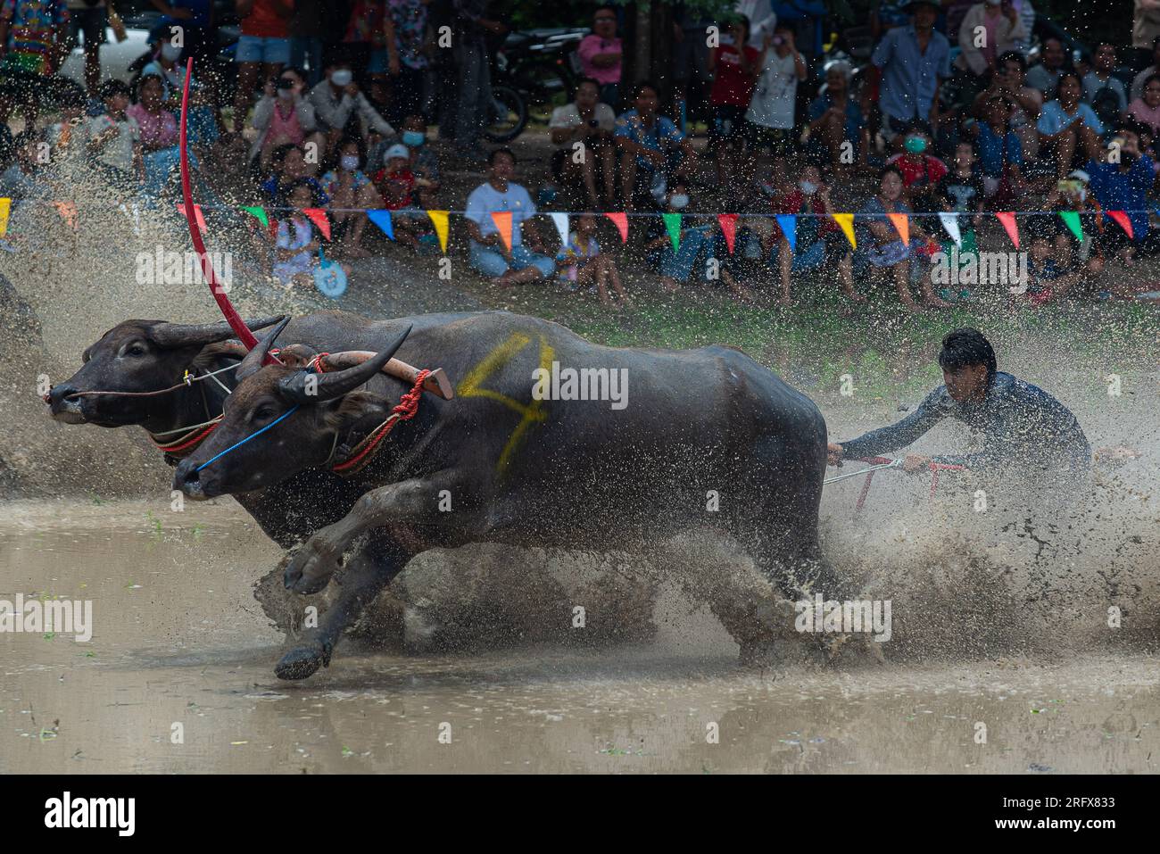 Chonburi, Thailand. 06. Aug. 2023. Ein Jockey, der während des Buffalo Racing Festivals in Chonburi Wettbewerbe gesehen hat. Das Buffalo Racing ist eine jährliche Tradition des 14. Wachsenden Gibbous des 11. Monats. Es ist eine Zeremonie der Ermutigung und auch eine Zeit der Ruhe für die Büffel nach einer langen Zeit harter Arbeit auf den Feldern. (Foto: Peerapon Boonyakiat/SOPA Images/Sipa USA) Guthaben: SIPA USA/Alamy Live News Stockfoto