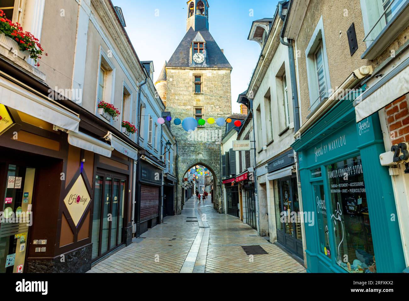 Sommerentdeckung im wunderschönen seine-Tal am Schloss Amboise - Indre-et-Loire - Frankreich Stockfoto