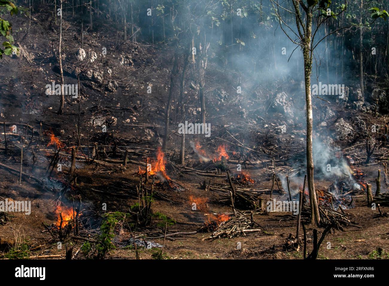 Bogor, Indonesien - 05. August 2023: Die Bauern nutzen die alte Methode des Schrägstrichs und Verbrennens, um ihr landwirtschaftliches Land in Bogor, West-Java, zu säubern Stockfoto