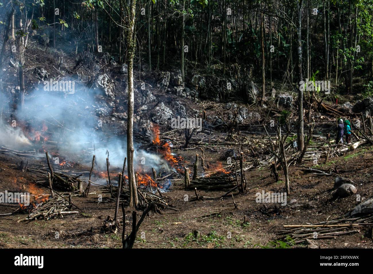 Bogor, Indonesien - 05. August 2023: Die Bauern nutzen die alte Methode des Schrägstrichs und Verbrennens, um ihr landwirtschaftliches Land in Bogor, West-Java, zu säubern Stockfoto